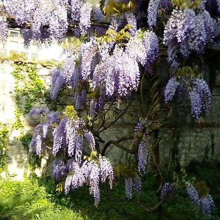 Villa Osmanthus Vicenza Zewnętrze zdjęcie