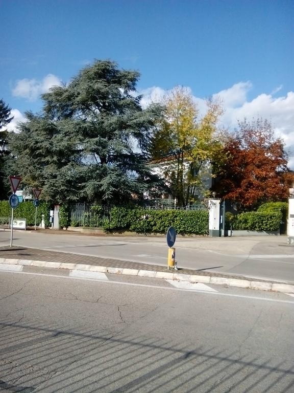 Villa Osmanthus Vicenza Zewnętrze zdjęcie